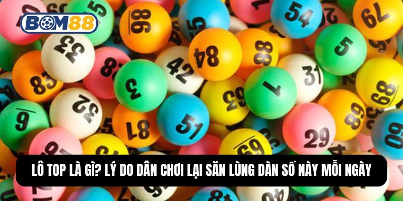 BOM88 Lô Top Là Gì? Lý Do Dân Chơi Lại Săn Lùng Dàn Số Này Mỗi Ngày