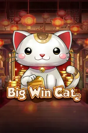 BOM88 Big Win Cat